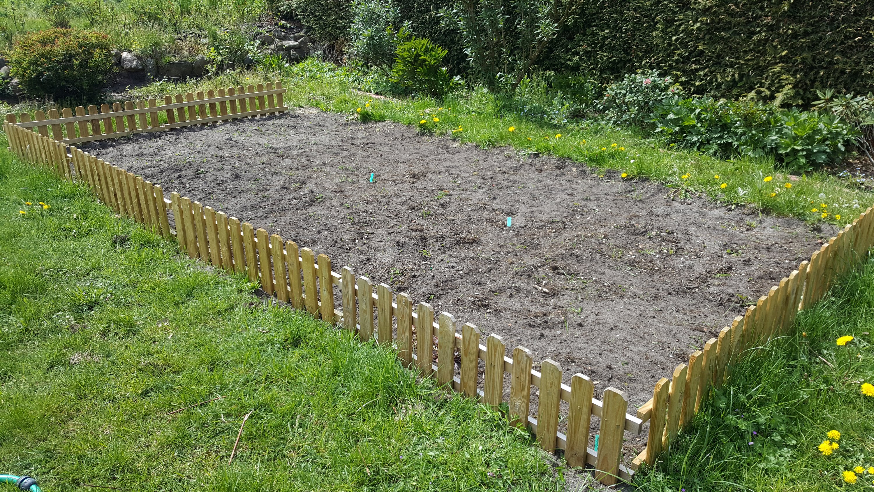 Right vegetable bed.
