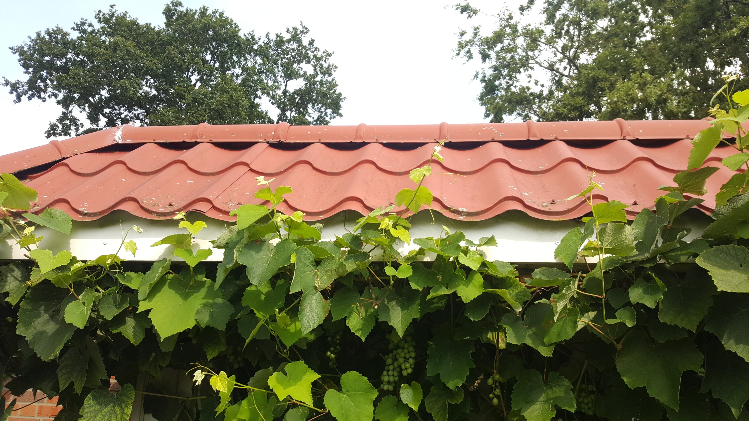 Pitched, clay-style roof made of metal